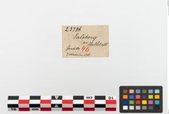 Etiketten zu Bronzekugelkopfnadel (NHMW-PRAE-023786)